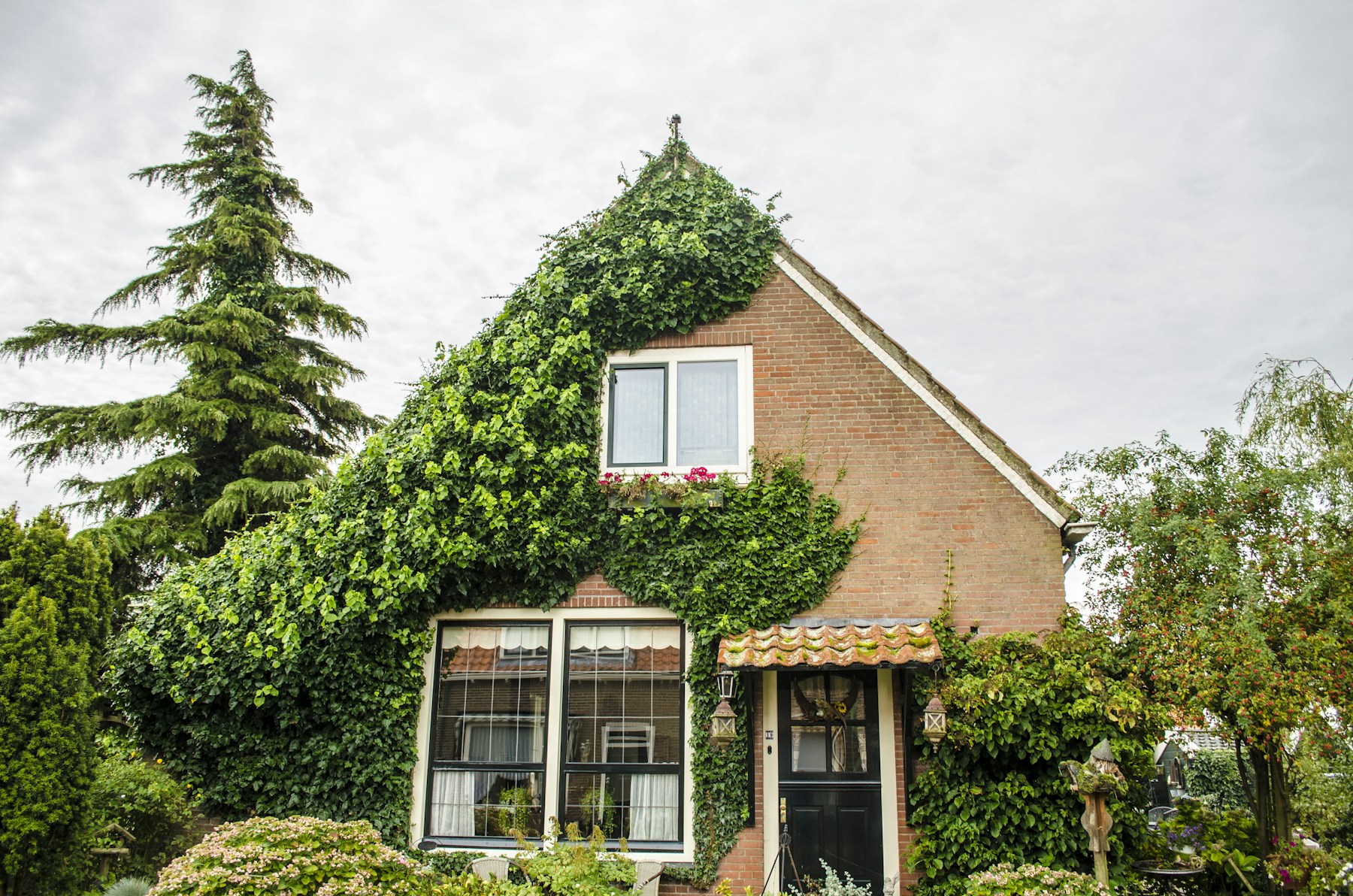 Home surrounded by greenery
